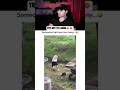 Try Not To Laugh…😂 (Part 26)