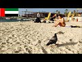 اجمل شاطئ متحرر مجاني في دبي ... شاطئ لامير دبي