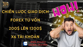 CHIẾN LƯỢC GIAO DỊCH FOREX TỪ VỐN 200$ LÊN 1200$ X6 TÀI KHOẢN | TRADING TV