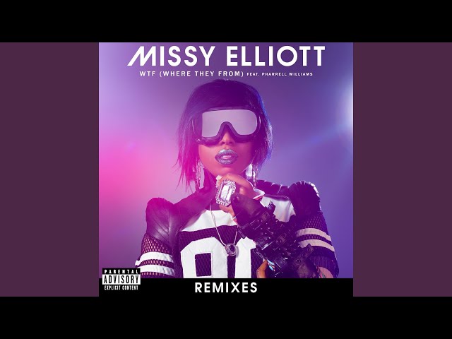 WTF (Where They From) (feat. Pharrell Williams) (Vindata Remix