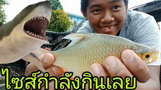 Street Fishing ep10 ตกปลาใกล้ตลาดอิงน้ำสามโคก ตอน1