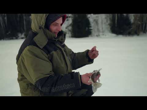 ЛОВЛЯ БЕРША НА