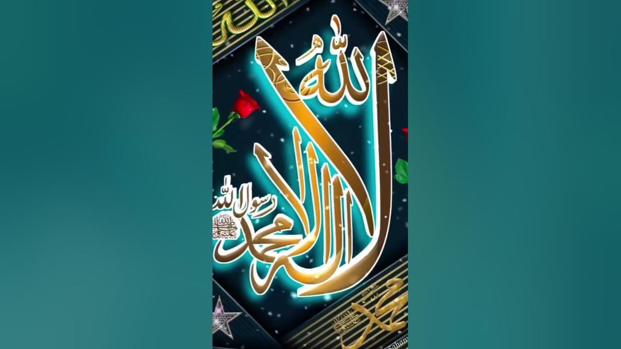 aseel murga rashid Islami video #religion #video - YouTube