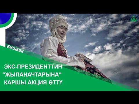 Экс-президенттин "жылаңачтарына" каршы акция өттү