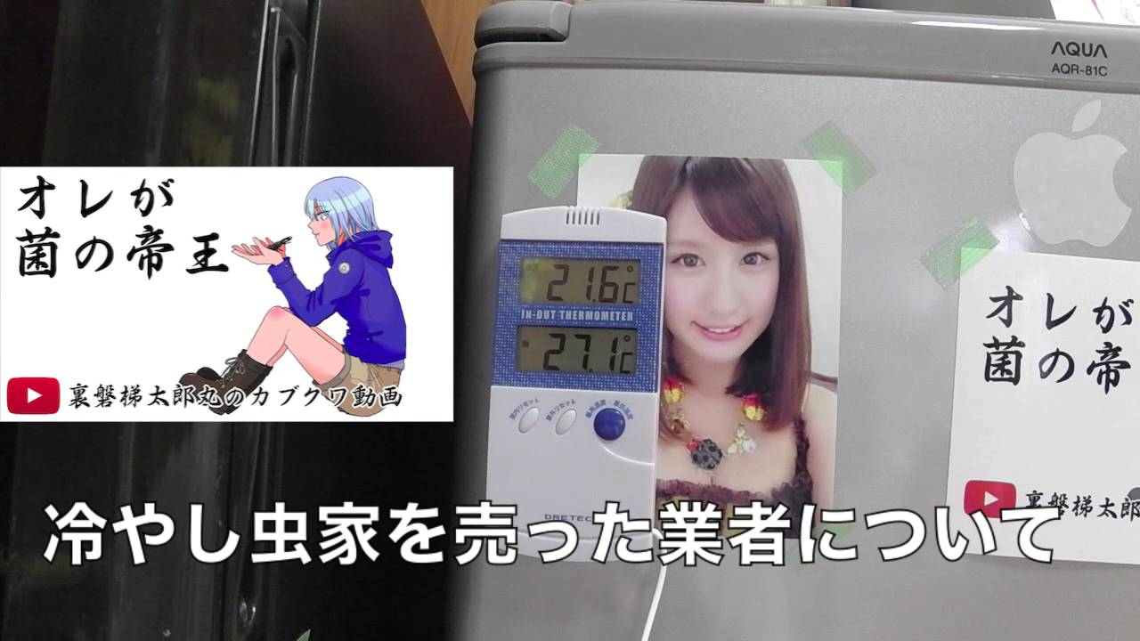 三ツ星貿易ワインクーラーMB-111Cを買ってみた【昆虫飼育用ワイン