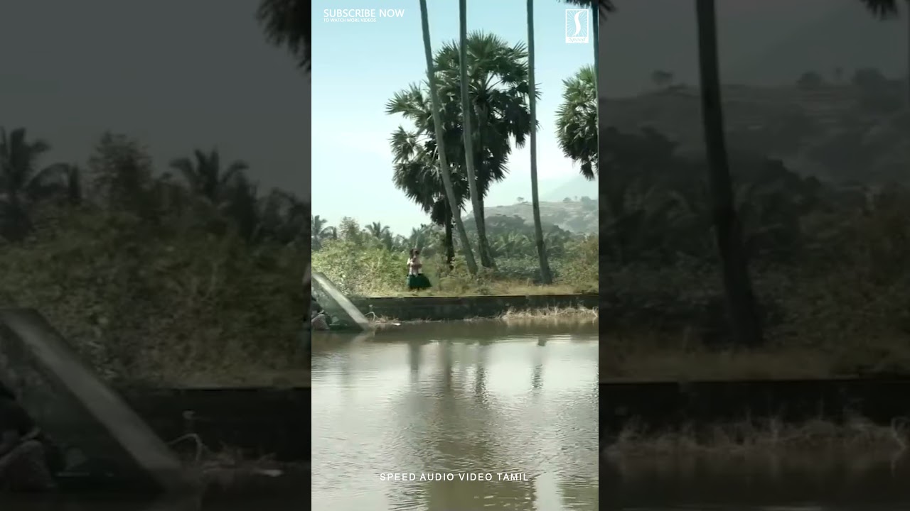 Tamil Movie Best Scene 