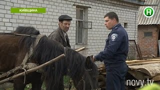 В селе под Киевом мучают и закапывают животных - Абзац! - 21.04.2016 В селе под Киевом мучают и закапывают животных - Абзац! - 21.04.2016