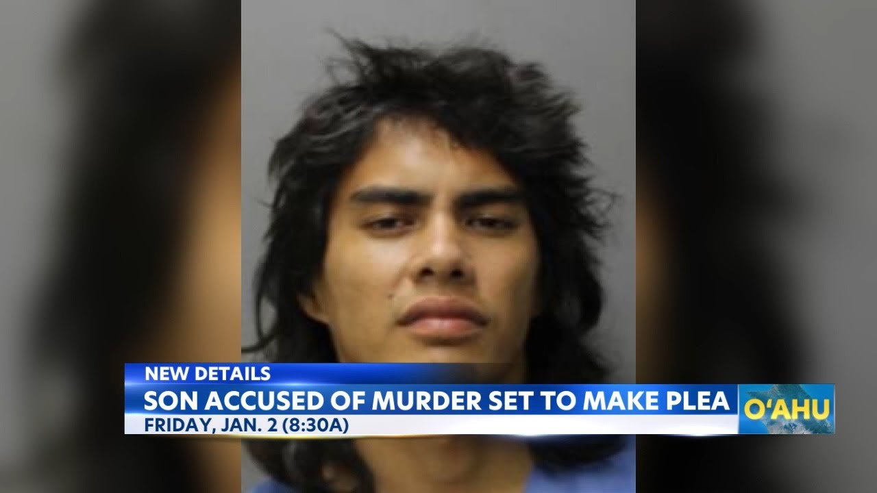 Hawaii Kai murder case: son to make plea in court