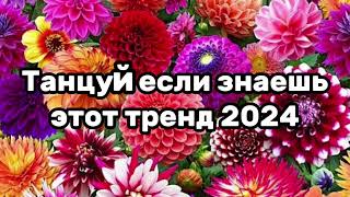 🍓🌹Танцуй Если Знаешь Этот Тренд💓🍉Тренды 2024Года🌹🍓