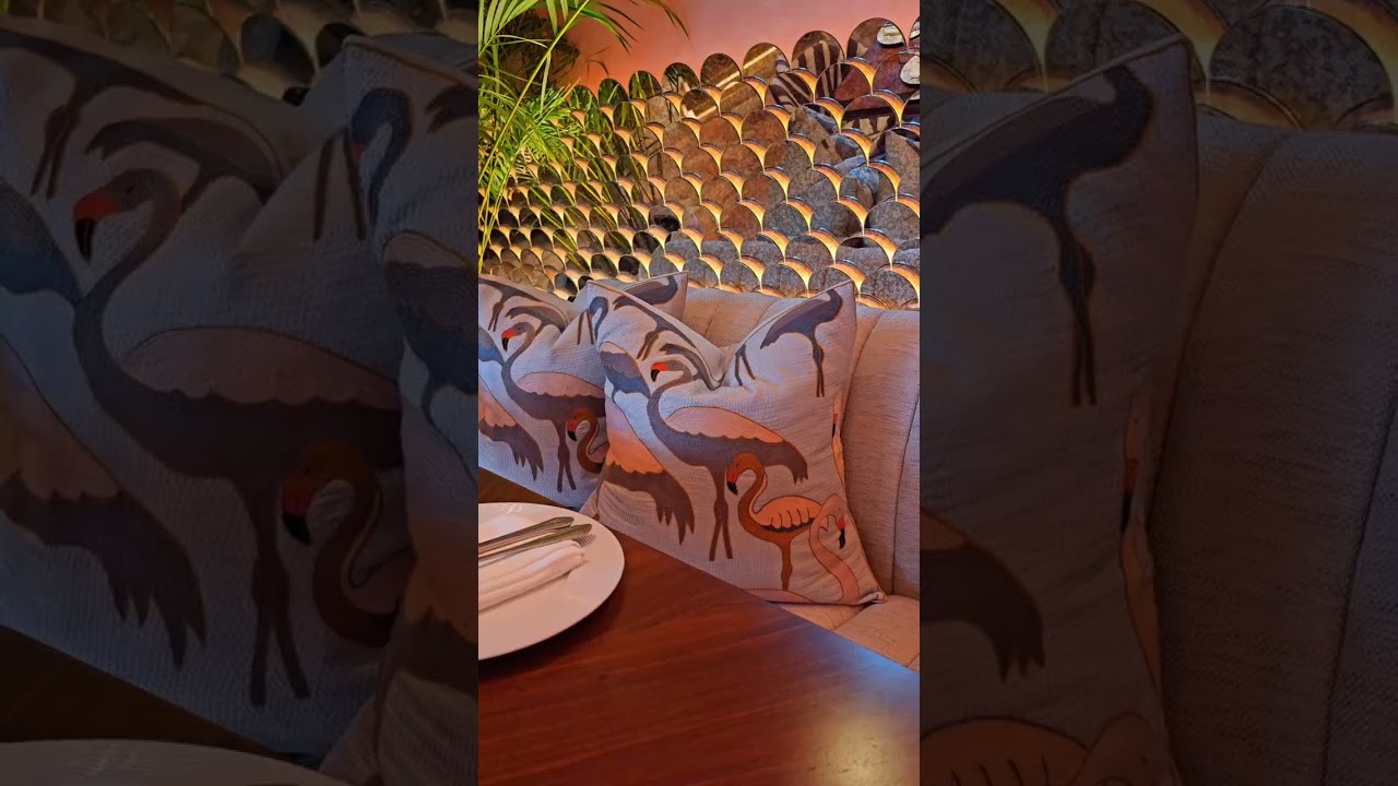 The Most Beautiful Restaurant in UAE? Welcome to Abu Dhabi's Hidden Gem! 🦩