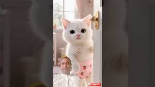 Cute Cat Official Website 2