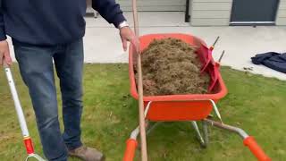 Lawn care first aid 2: Using a scarifying rake