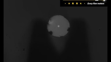 MicroAlign Single fiber with core visible moving