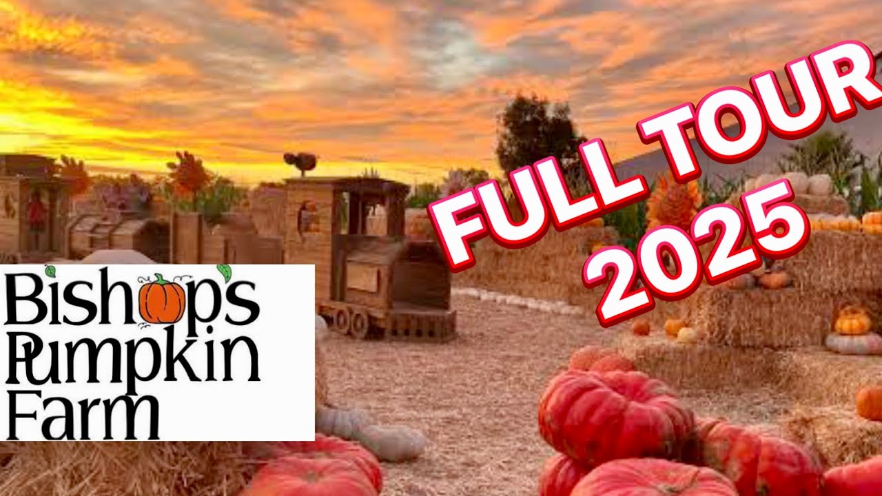 Тыквенная ферма Бишопа: полный тур 2025! Аттракционы, животные, кукурузный лабиринт и лучшие осен...