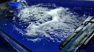 Jebao Cross Flow Pump