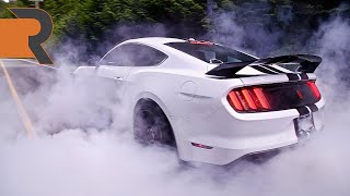 Celebrity The Shelby GT350R Is The Last Great Mustang Ford Will Ever Build. Wealth