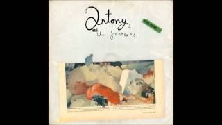 Antony and the Johnsons - The Great White Ocean chords