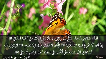 الصفحة 320 سورة طه بصوت القارئ المهندس أحمد فايز الحراسيس