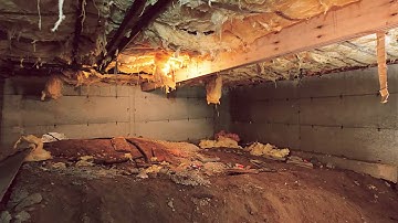 CleanSpace CrawlSpace