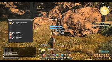 FFXIV ARR - To Catch A Cheater Episode 2 - Fire Shard Warper RMT Bot