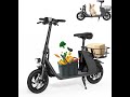 RIDWIND Electric Scooter with Seat: 450W, 20-Mile Range