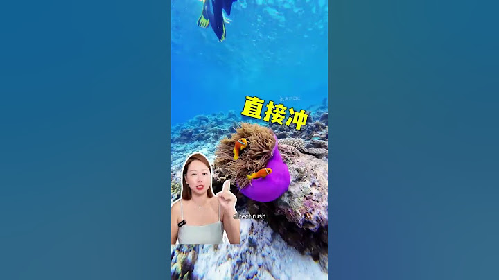 暑假捡漏必看🔥马尔代夫10家酒店大跳水看看有没有你喜欢的岛 旅行推荐官 亲子游 暑假亲子度假 马尔代夫选岛攻略 奢游国际品质旅行 @奢游国际 | 全球度假 @奢游马尔代夫