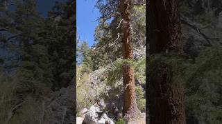 Beautiful hiking trip #hiking #lasvegas