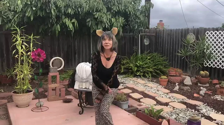 Superstition - Juanita Johnson