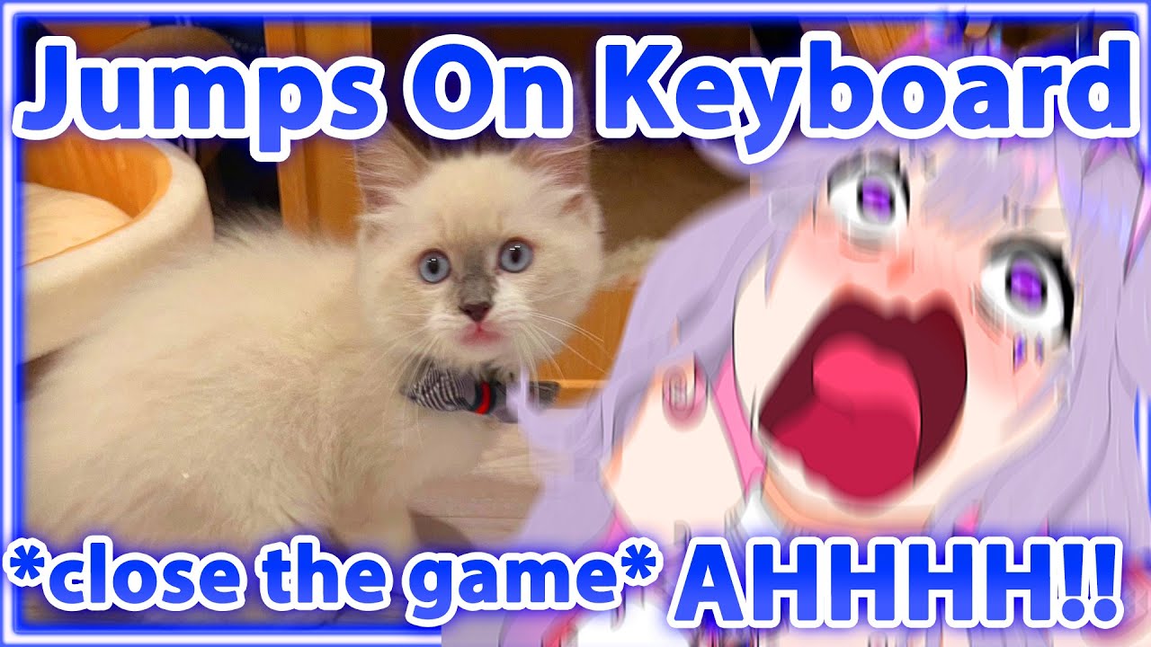 Biboo's IRL Cat Invades Her Stream and Accidentally Turned Off The Game 【Hololive EN】
