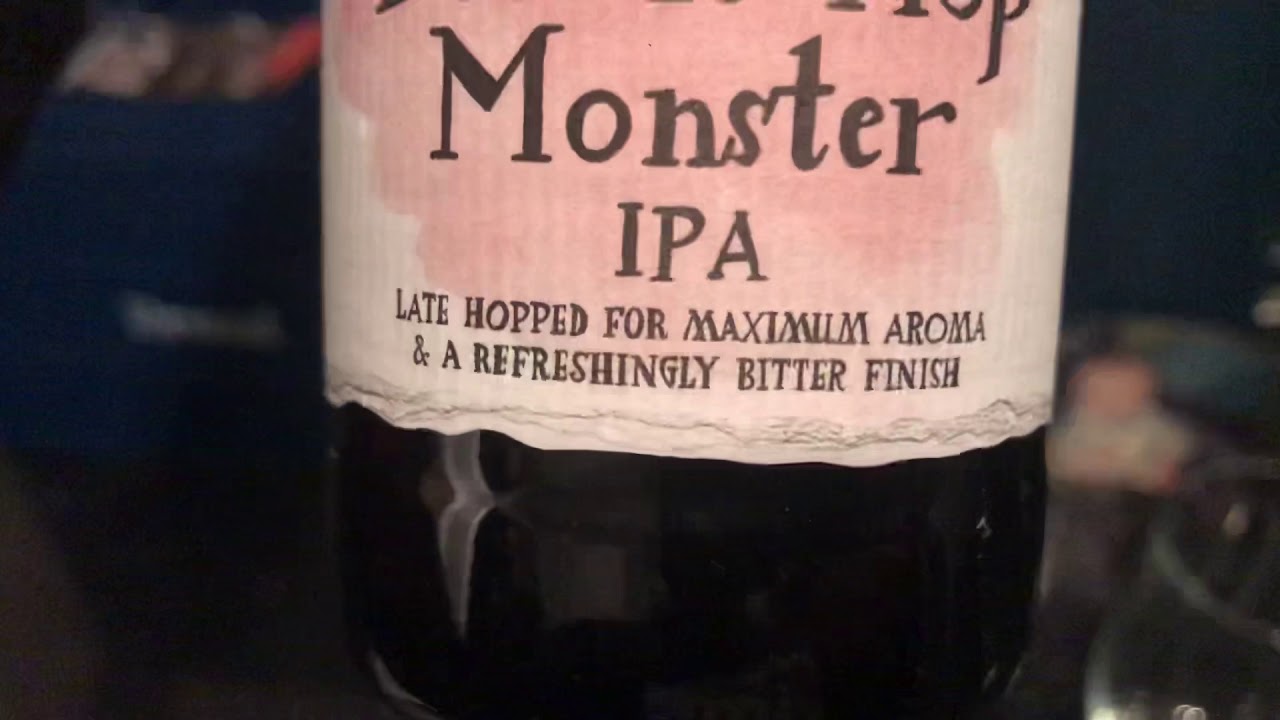 Drinking a Double Hop Monster ipa with my younger self
