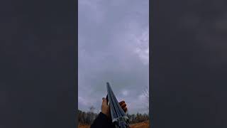 А ты Х.. ËВО попал 🤣#duckhunt #hunting #shorts