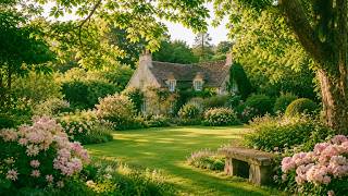 a quiet playlist for garden afternoons 🌿 soft piano for reading, studying & easy living screenshot 4