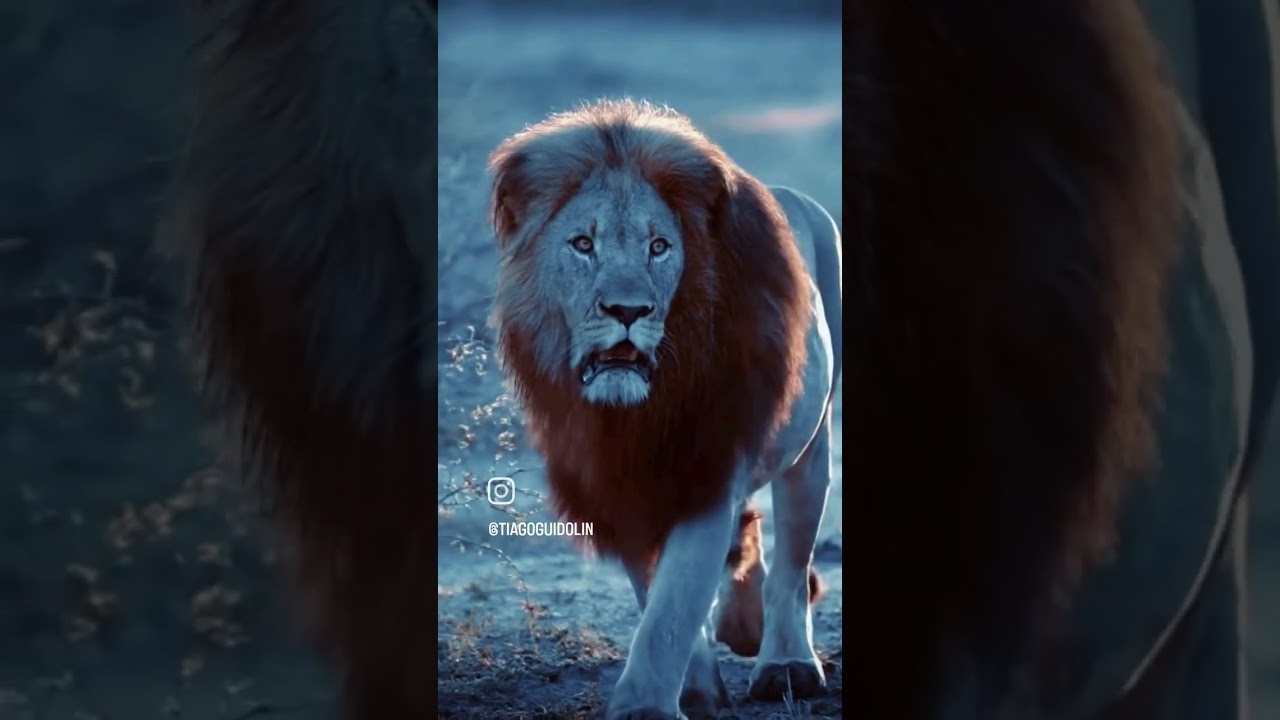 Thank You, Lord, for Everything 