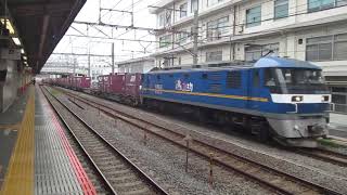 【遂に初のEF210で新塗装で落成した300番台を撮影!!!300番台は牽引加え山陽本線セノハチ補機にも使える機関車です!!】東海道貨物線EF210-318牽引貨物 大船駅付近通過