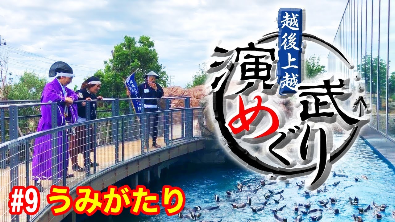 【ﾏｾﾞﾗﾝﾍﾟﾝｷﾞﾝ飼育数世界イチ水族博物館で演武す！】演武めぐり#9【うみがたり】