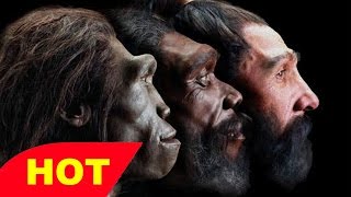 NOVA   THE EVOLUTION OF SIZE   Discovery Science Animals full documentary