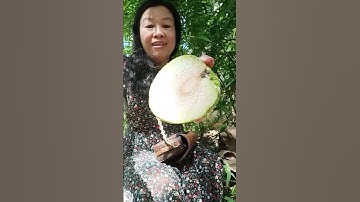 ăn sống trái sa kê non #shorts .