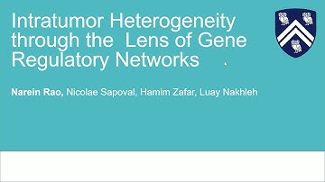 Narein Rao - Intratumor Heterogeneity Through the Lens of Gene Regulatory Networks