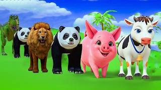 Long Slide Game With Five Colourful Duck Gorilla Hippopotamus Tiger 3D Animal Game Funny 3D Animals