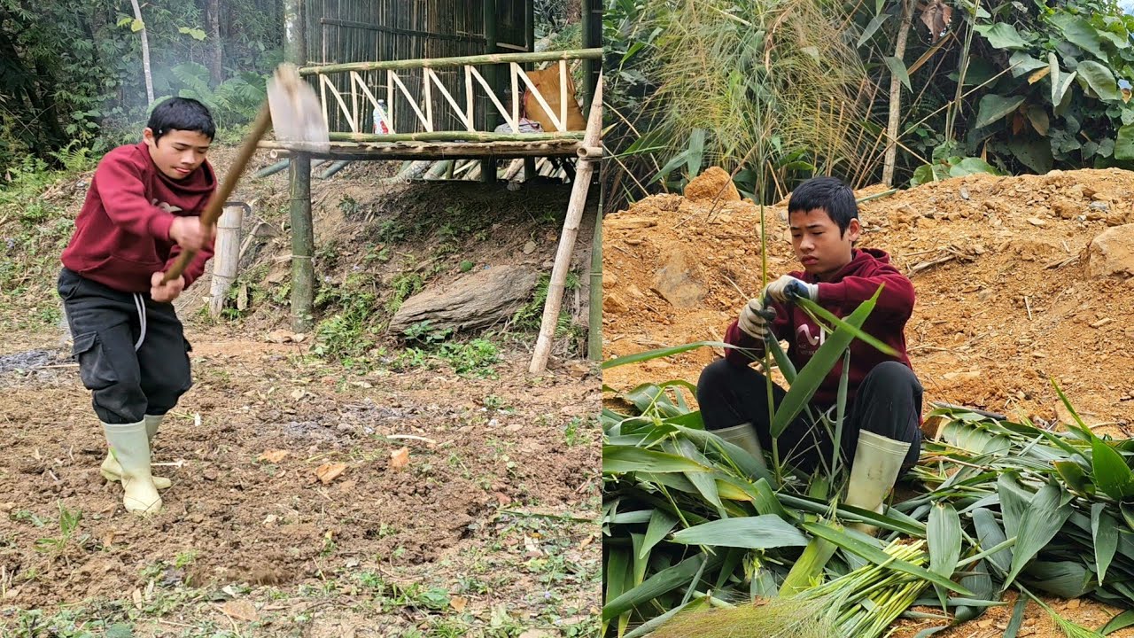 The orphan boy went alone into the forest to pick chit flowers to sell ...