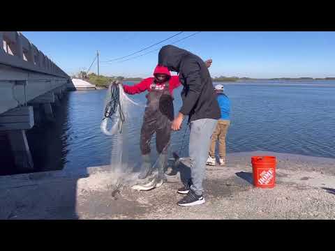 catching ￼mullet