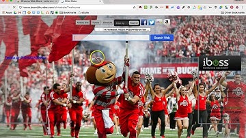 Removing Themes and Extensions from Chrome