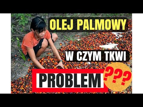 Wideo: Olej Palmowy W Odżywce Dla Niemowląt: Dlaczego?