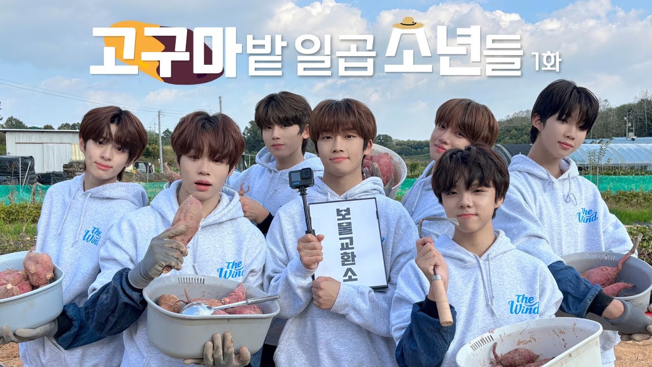 고구마 밭 일곱 소년들 ① (The Wind on the Sweet Potato Field ①)