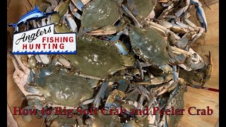 How to Rig Soft Crab and Peeler Crab < Anglers Sport Center