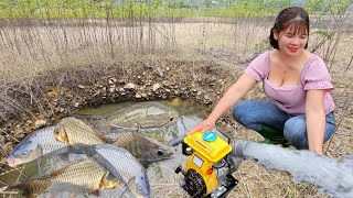 The lake water receded and the fish stayed in the puddle. The girl bought a motor to drain the water