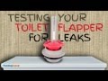 Testing Your Toilet Flapper for Leaks