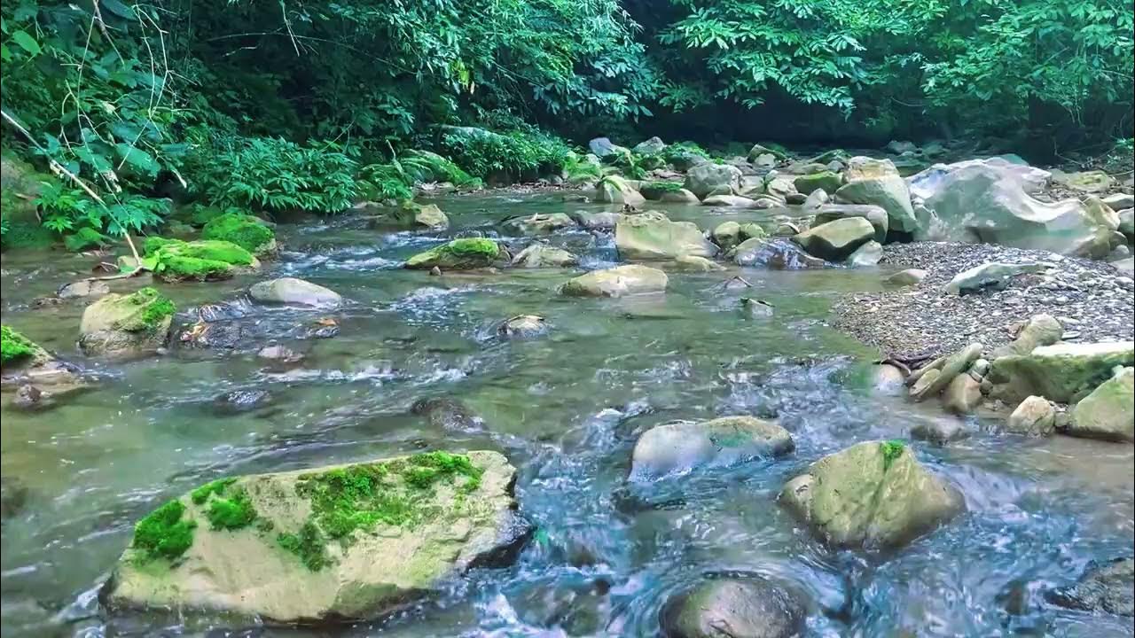 Река минута. Дельта реки обь. Горные реки алтая. Река буй кировская область. Река минута.