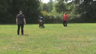 Jaburikennel.com  Akeem bitework SCHIII Trial Slow MO