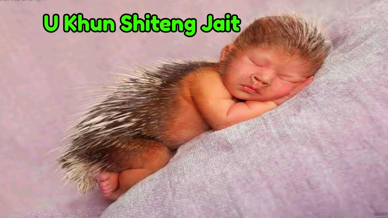 U Khun Shiteng Jait | Hybrid Boy Born Half Animal + Half Human | SWEET TOOTH 2021